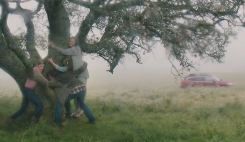 tmp_22471-tree-huggers2038555250.jpg
