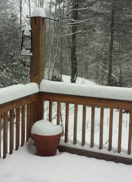 tmp_22652-Jan7-2017-6inches-2088646374.jpg