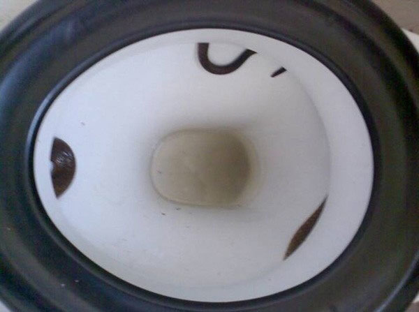 tmp_23388-snake_in_toilet_001493324272.jpg
