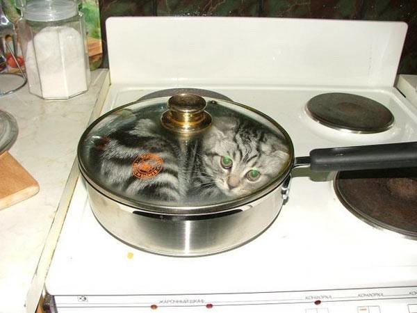 tmp_24126-frying_pan_cat650570681.jpg