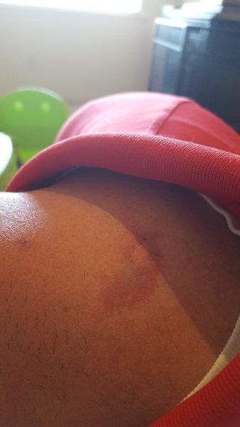 tmp_24539-20151111_154110110517027.jpg