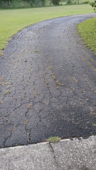 tmp_24620-20170430_071809480710331.jpg