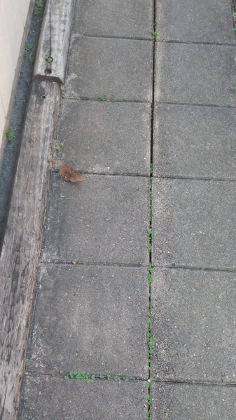 tmp_27613-20160922_173714-804666994.jpg