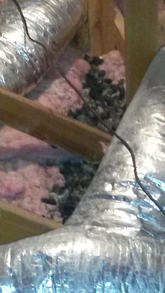 tmp_28208-20170429_1334421398631636.jpg