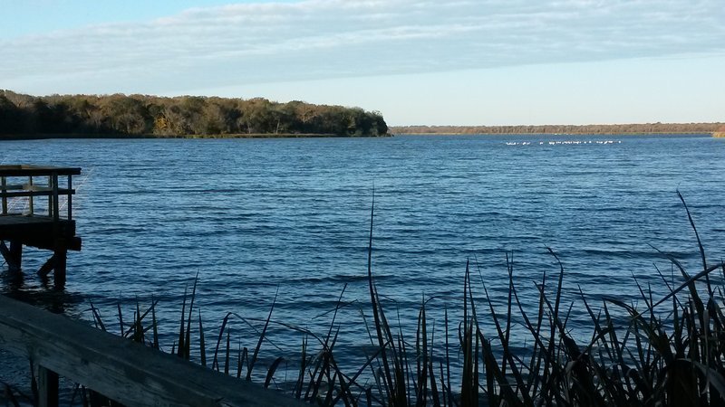 tmp_30762-20161130_080557-1519592431.jpg