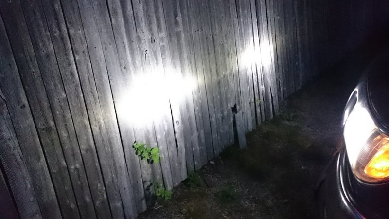 tmp_31323-DSC_000003601528453.jpg