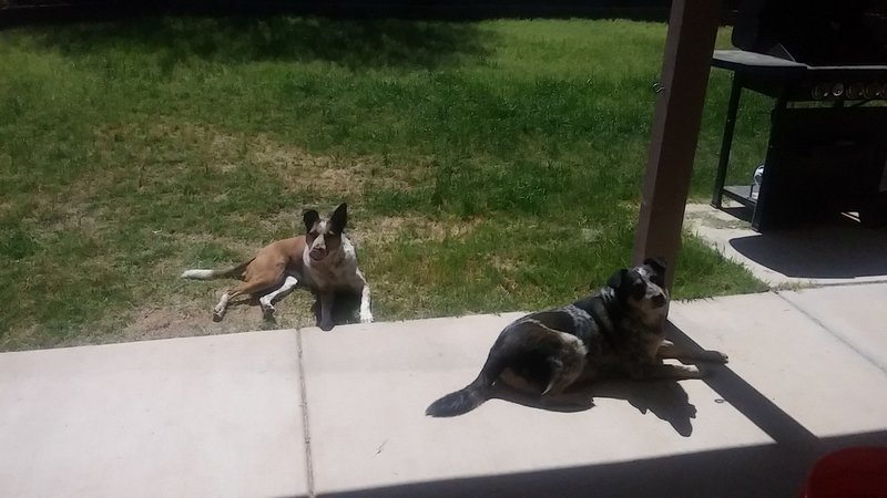 tmp_32371-DSC005371590538507.jpg