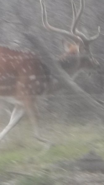 tmp_32438-20170203_1552301018385813.jpg