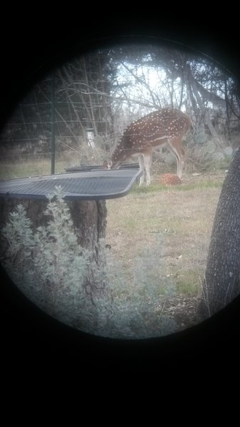 tmp_4661-20170108_163354407603549.jpg