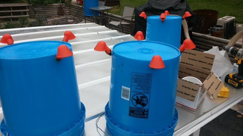 tmp_5570-20170428_111227-766524997.jpg