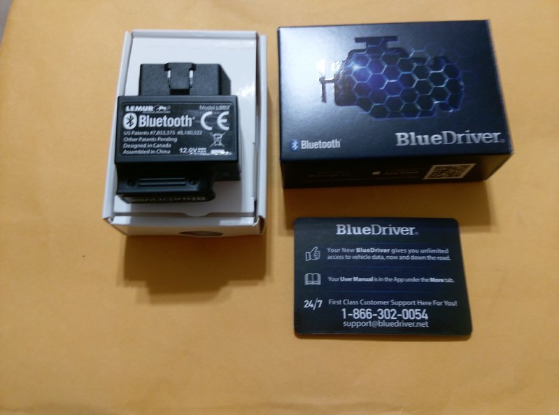 tmp_6466-IMAG1620-644081747.jpg