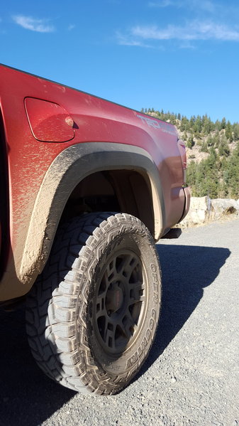 tmp_6493-20151015_154754579594750.jpg