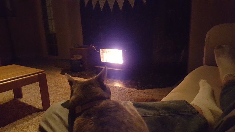 tmp_7503-20151102_195751788790384.jpg