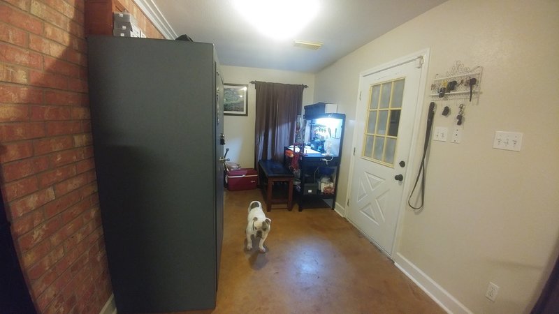 tmp_9831-20170310_203300_HDR97180561.jpg
