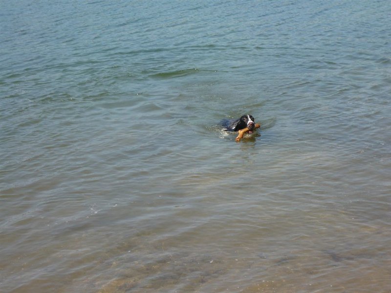 tn_P1030363.jpg