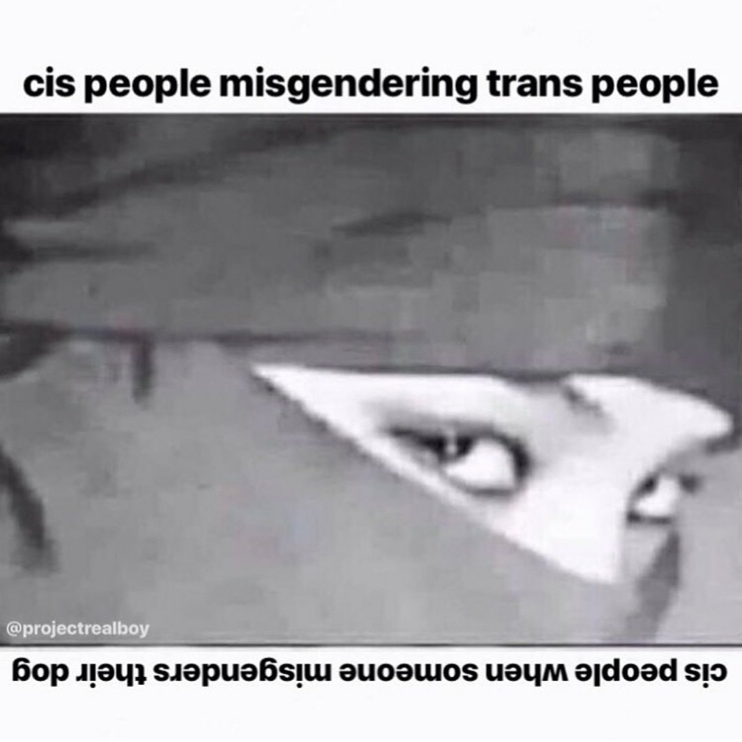 tnmwnynirjb31.jpg