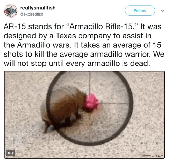 to-kill-the-average-armadillo-warrior-we-will-not-stop-until-every-armadillo-is-dead-gif-www3jam.jpg