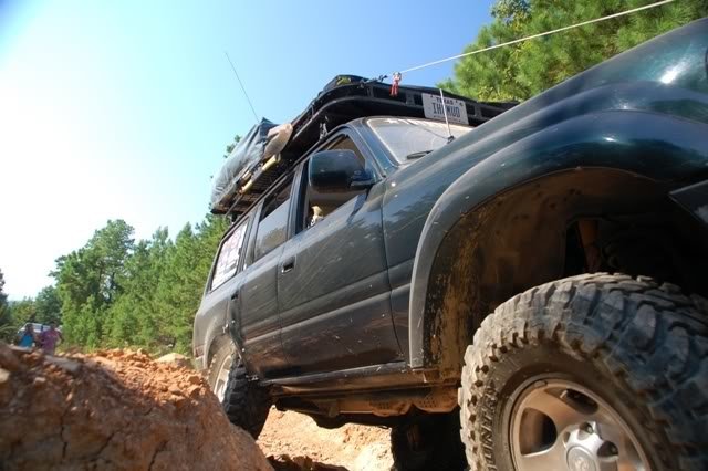 todd1_537ff93961abaa499e94014d307ffc3e8f38cdfb.jpg