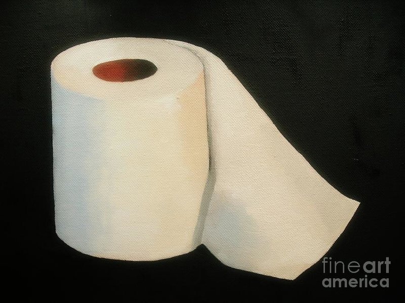 toilet-paper-rachel-dunkin.jpg