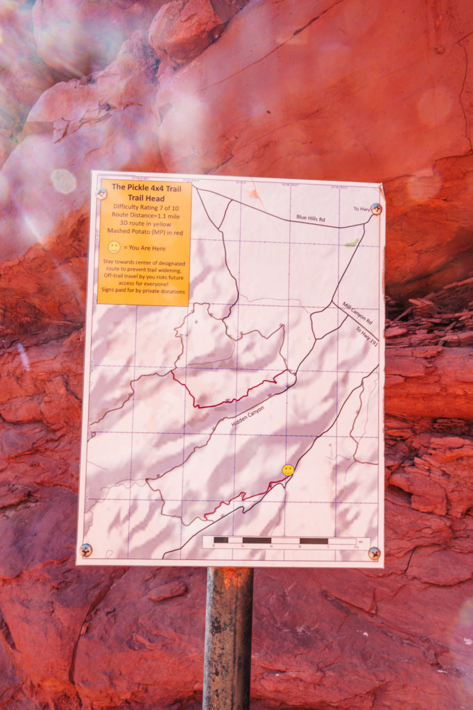 tola0011.jpg