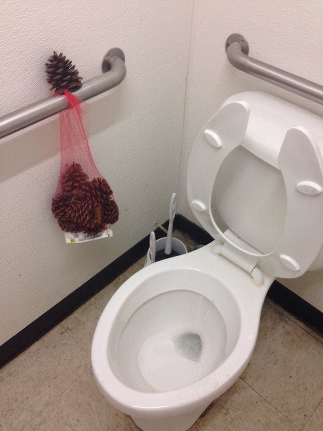 toliet.jpg