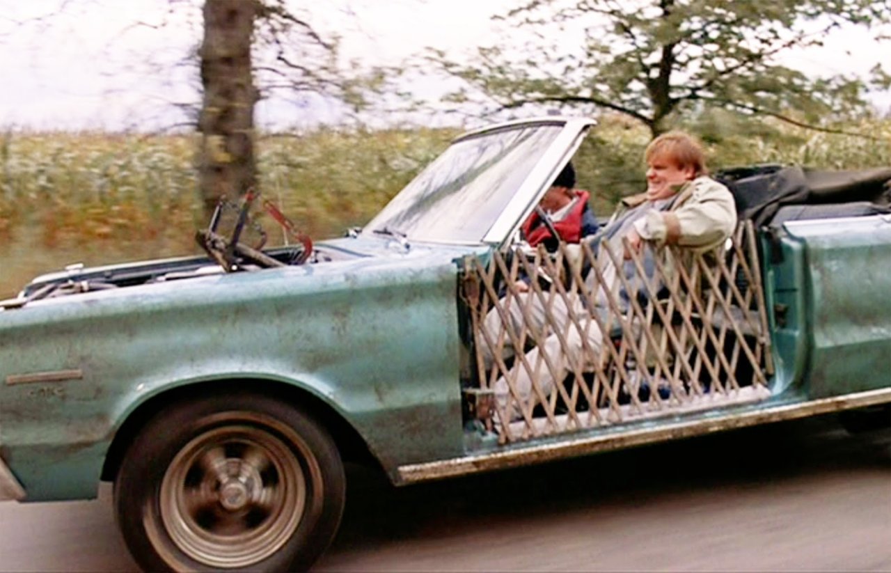 TommyBoy_219Pyxurz.jpg