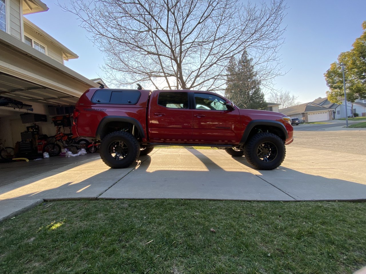 Tonka.jpg