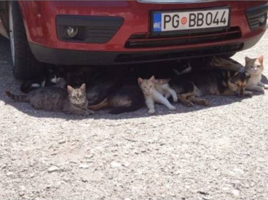 too hot.jpg