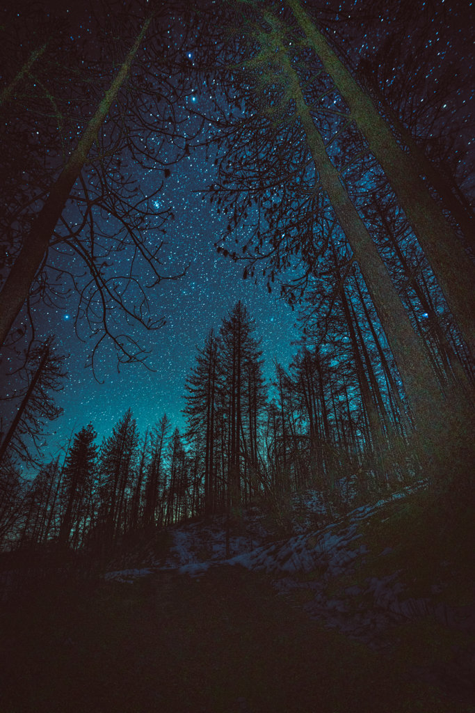 toodark0003.jpg