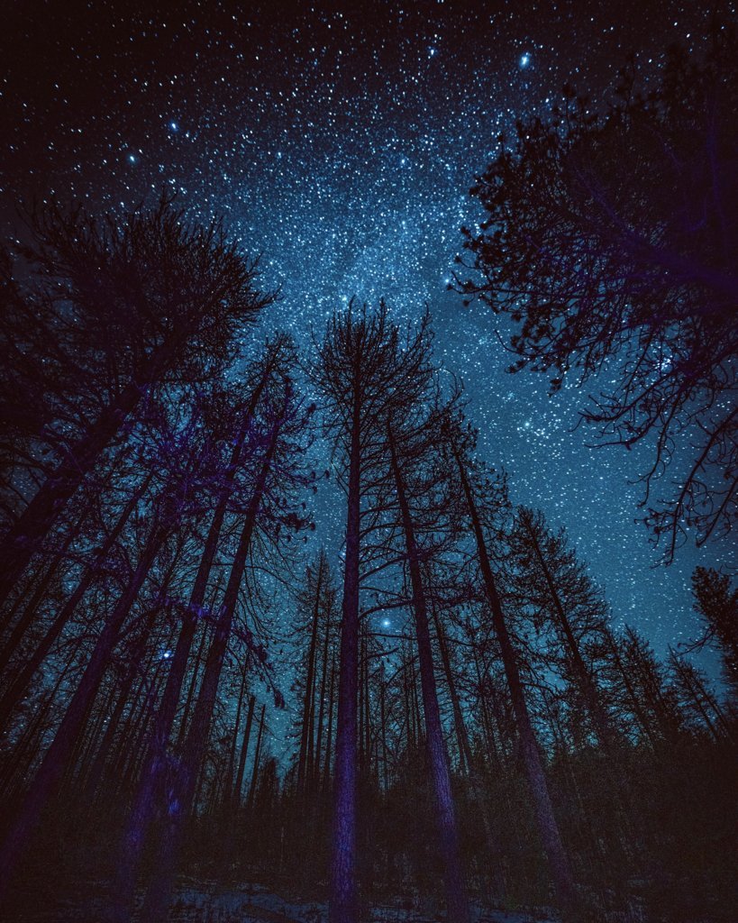 toodark0004.jpg