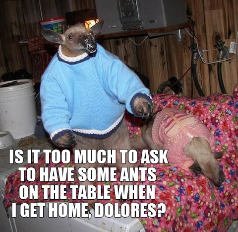 toomuch2ask_c1b04571727ae50d46a1d3923df030211e9b73b8.jpg