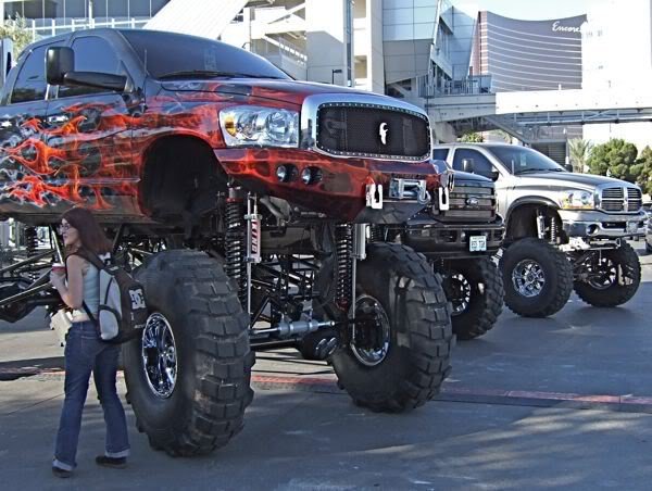 tootallsema09.jpg