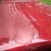 top of paint peel.jpg