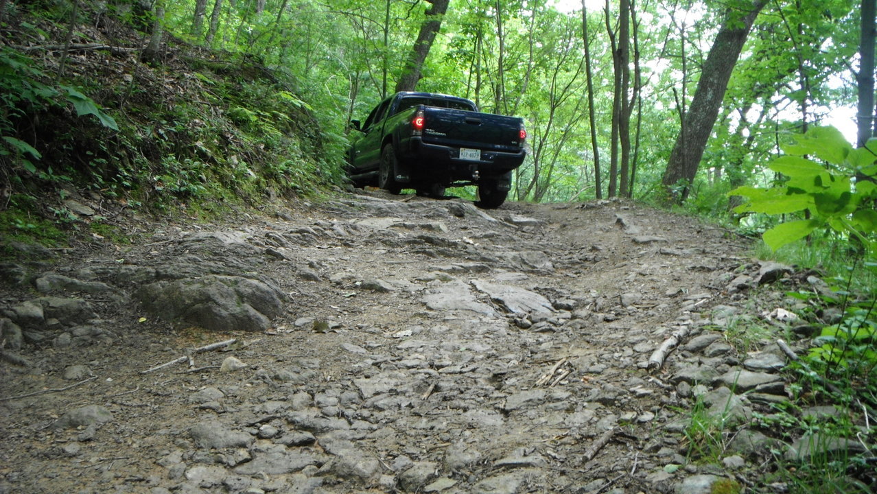 Top of the Hill.jpg