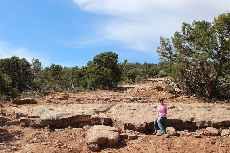 TopoftheWorld009_d7fd92ab823ff13b5220a769846cbacac3d4a607.jpg