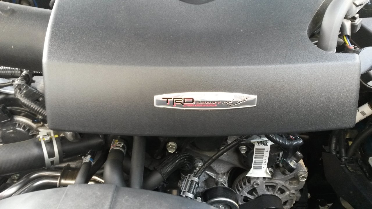 torque bling.jpg