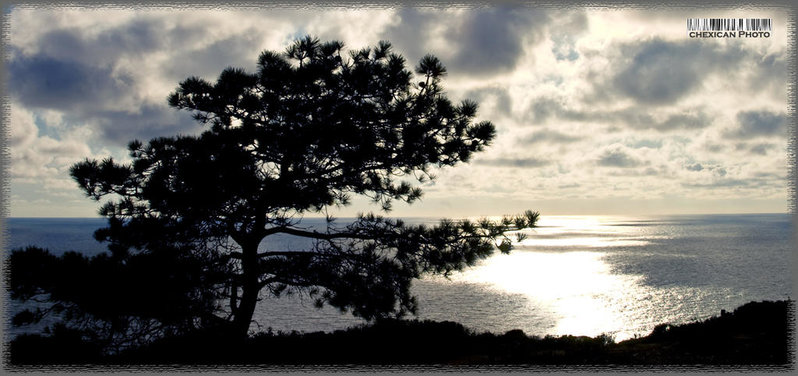 Torrey Pines Cliffs.jpg