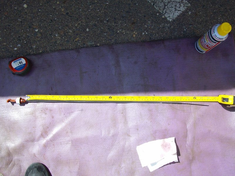 Total Length.jpg