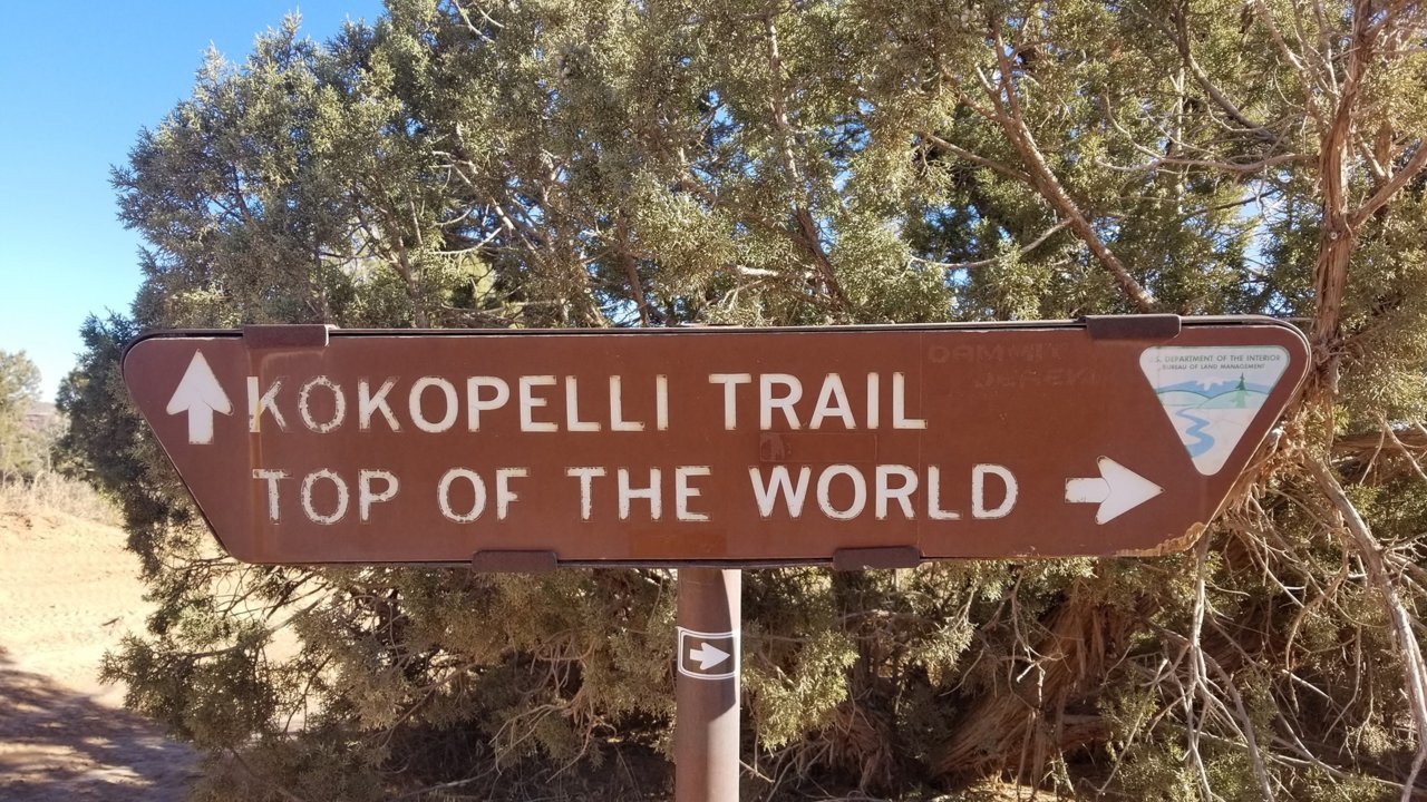 TOTW sign.jpg