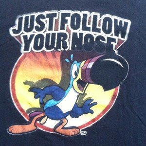 toucan.jpg