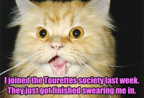 tourettes-memes-that-i-hate-and-should-be-removed-from-the-v0-1mztc1xzcwv81.jpg