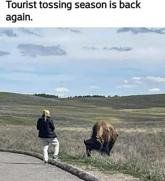 tourist._n.jpg