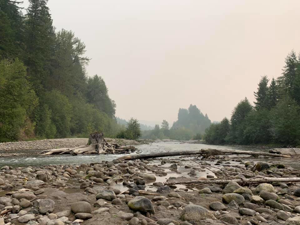 Toutle3.jpg