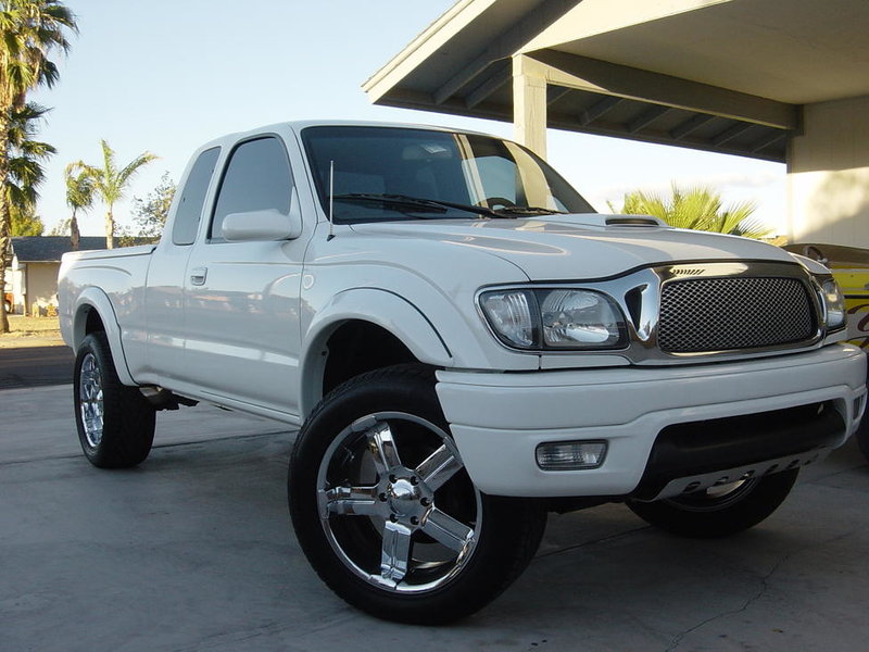 Toy%20002[1].jpg