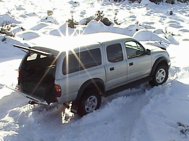 toy snow '06.jpg