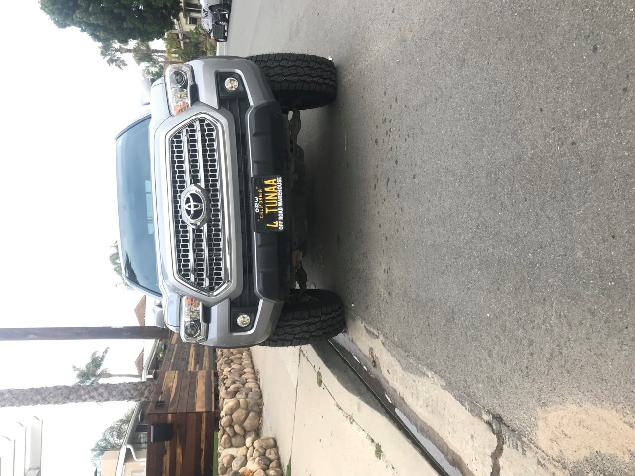 Toyo 2.jpg