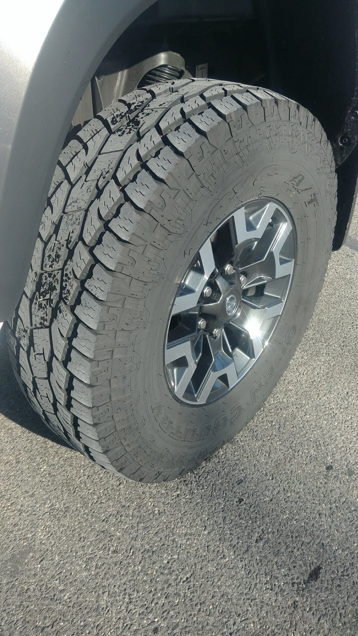 Toyo1.jpg