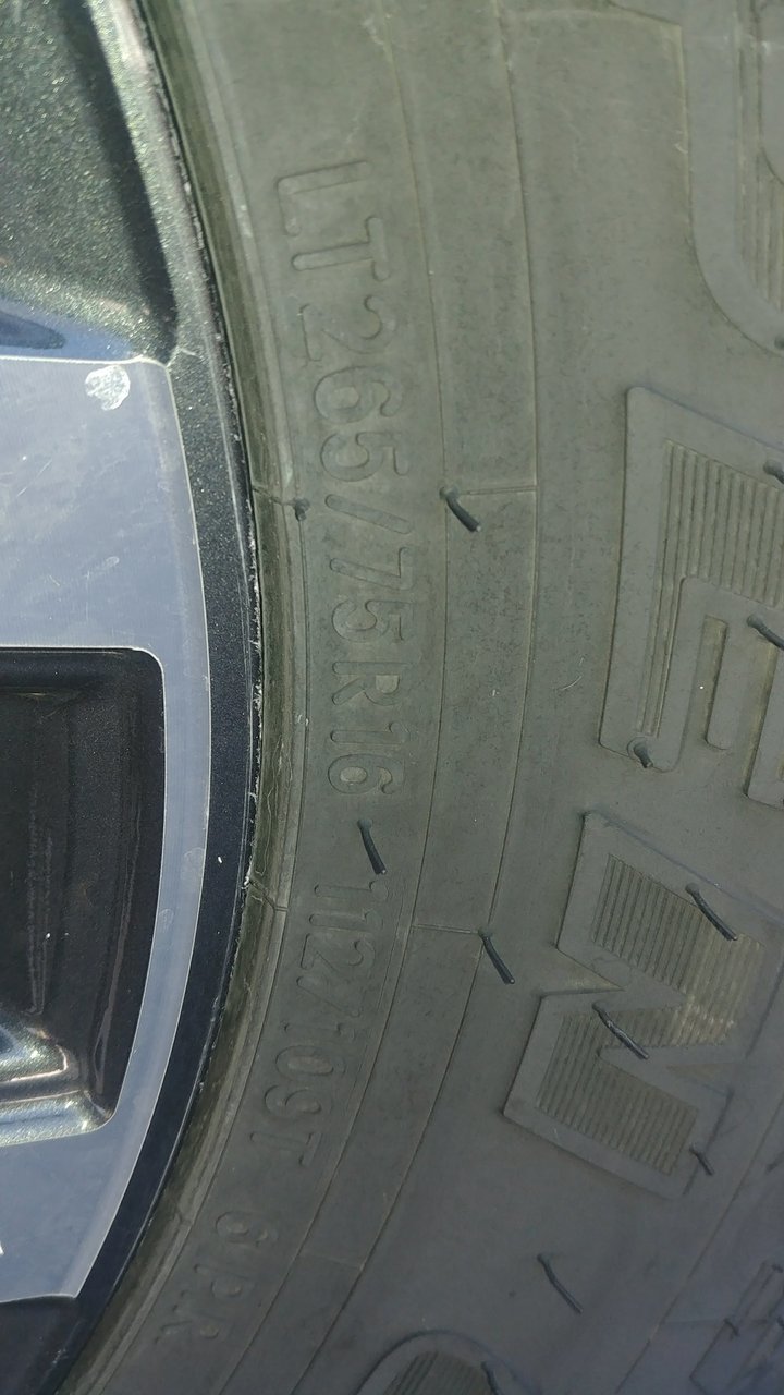 Toyo3.jpg