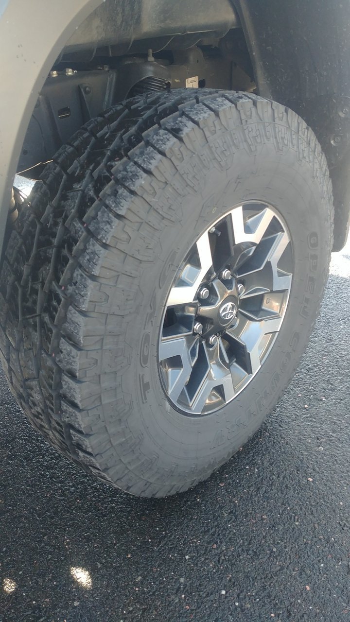 Toyo7.jpg