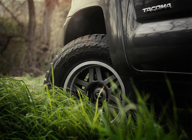 Toyos in Grass_TW1.jpg